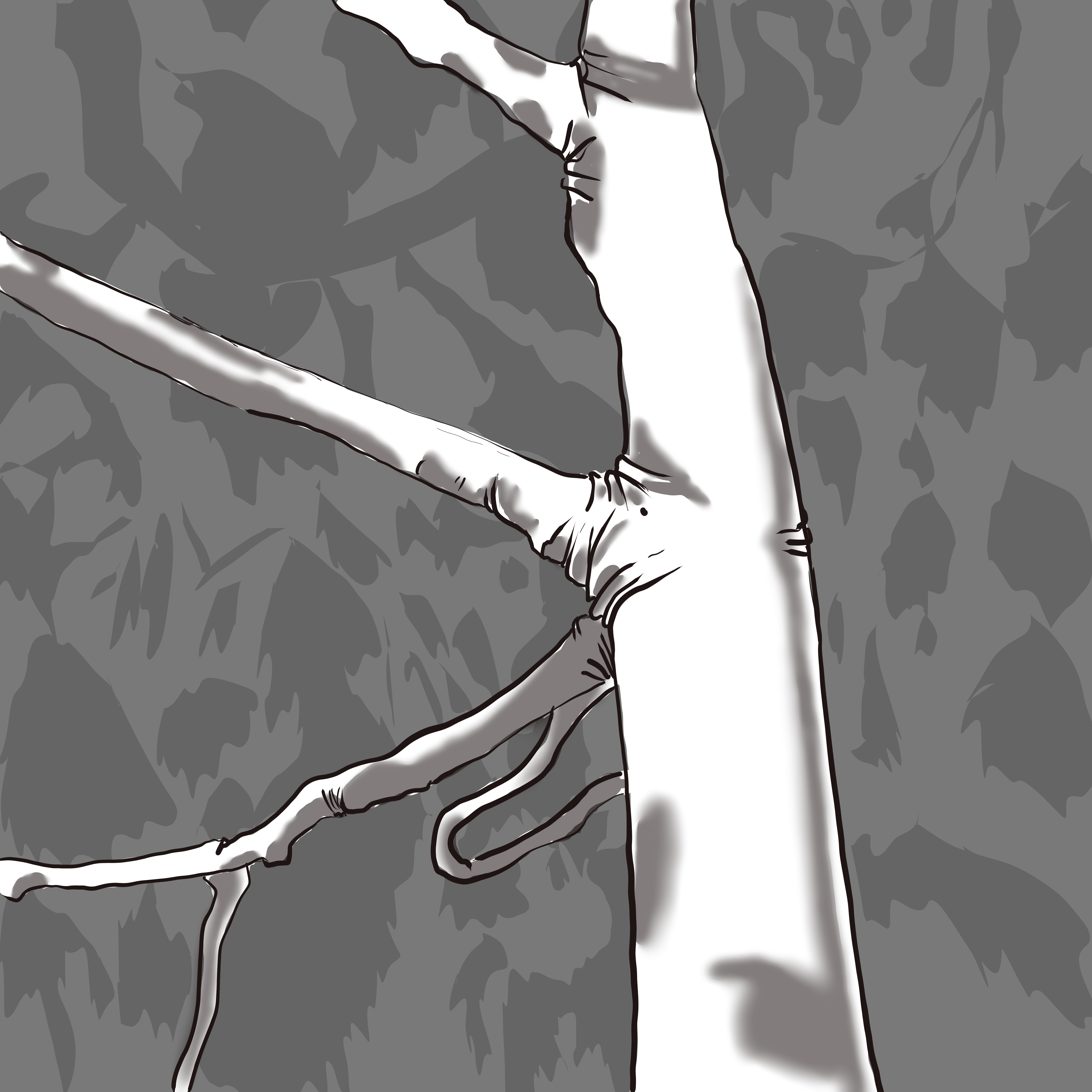 Skin Trees